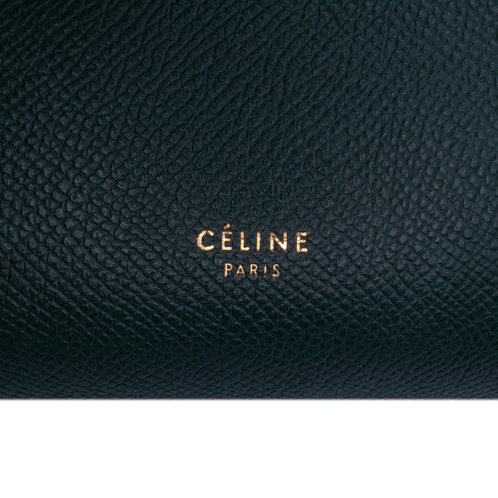 Celine Micro Grained Calfskin Belt Bag - 5