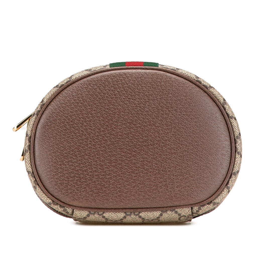 Gucci GG Supreme Web Ophidia Vanity Bag - 3