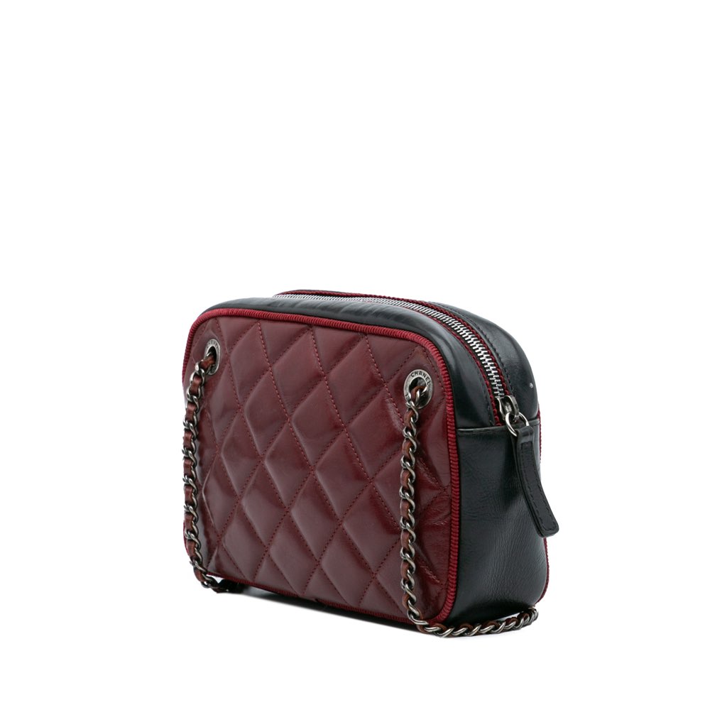 Chanel Small Bicolor Quilted Calfskin Ballerine Camera Bag - Back view