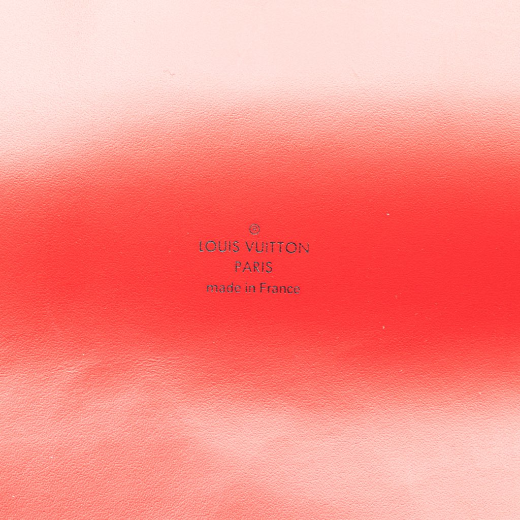 Louis Vuitton Epi Sevigne Clutch - 4