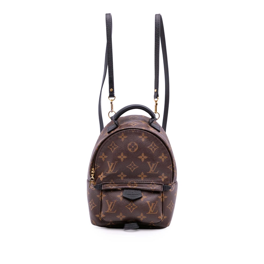 Louis Vuitton Monogram Mini Palm Springs