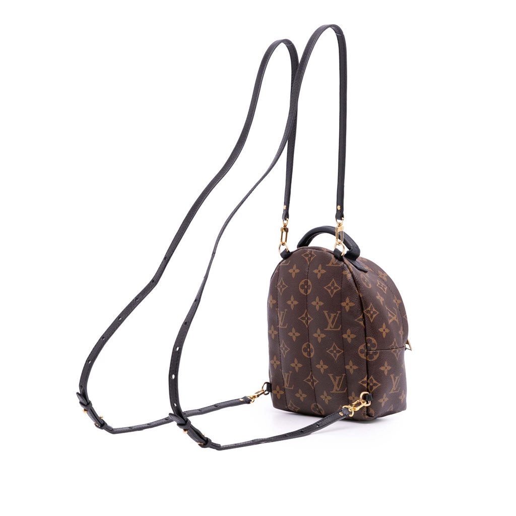 Louis Vuitton Monogram Mini Palm Springs - 2