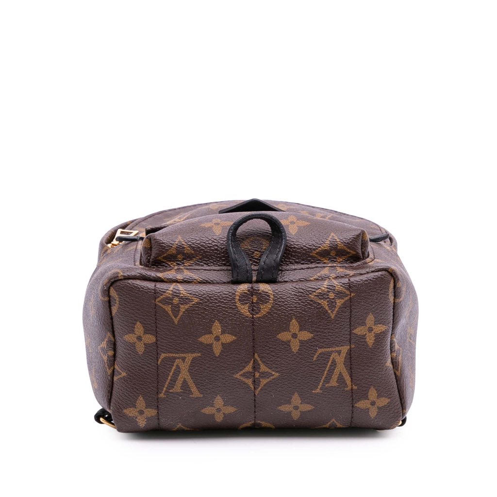 Louis Vuitton Monogram Mini Palm Springs - 3