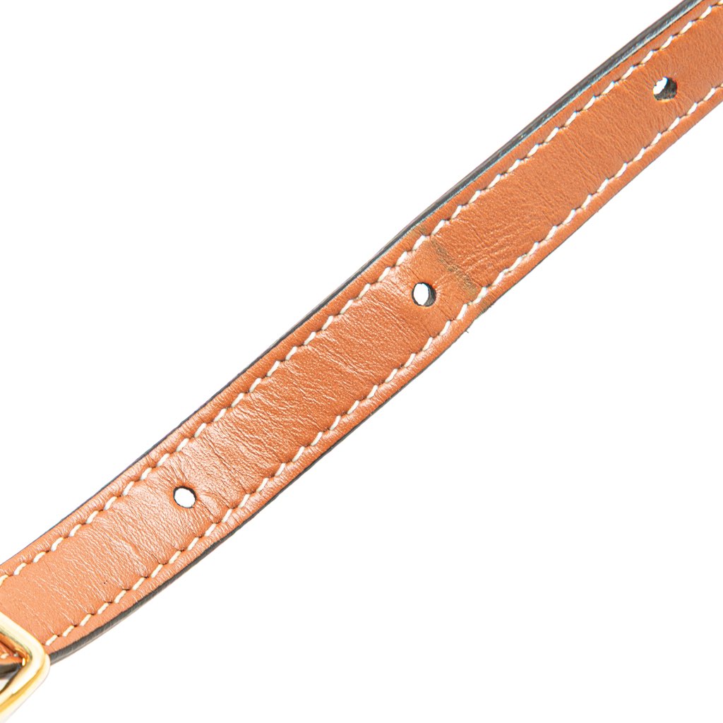 Celine Medium Triomphe Coated Canvas Tambour Crossbody - Image 13