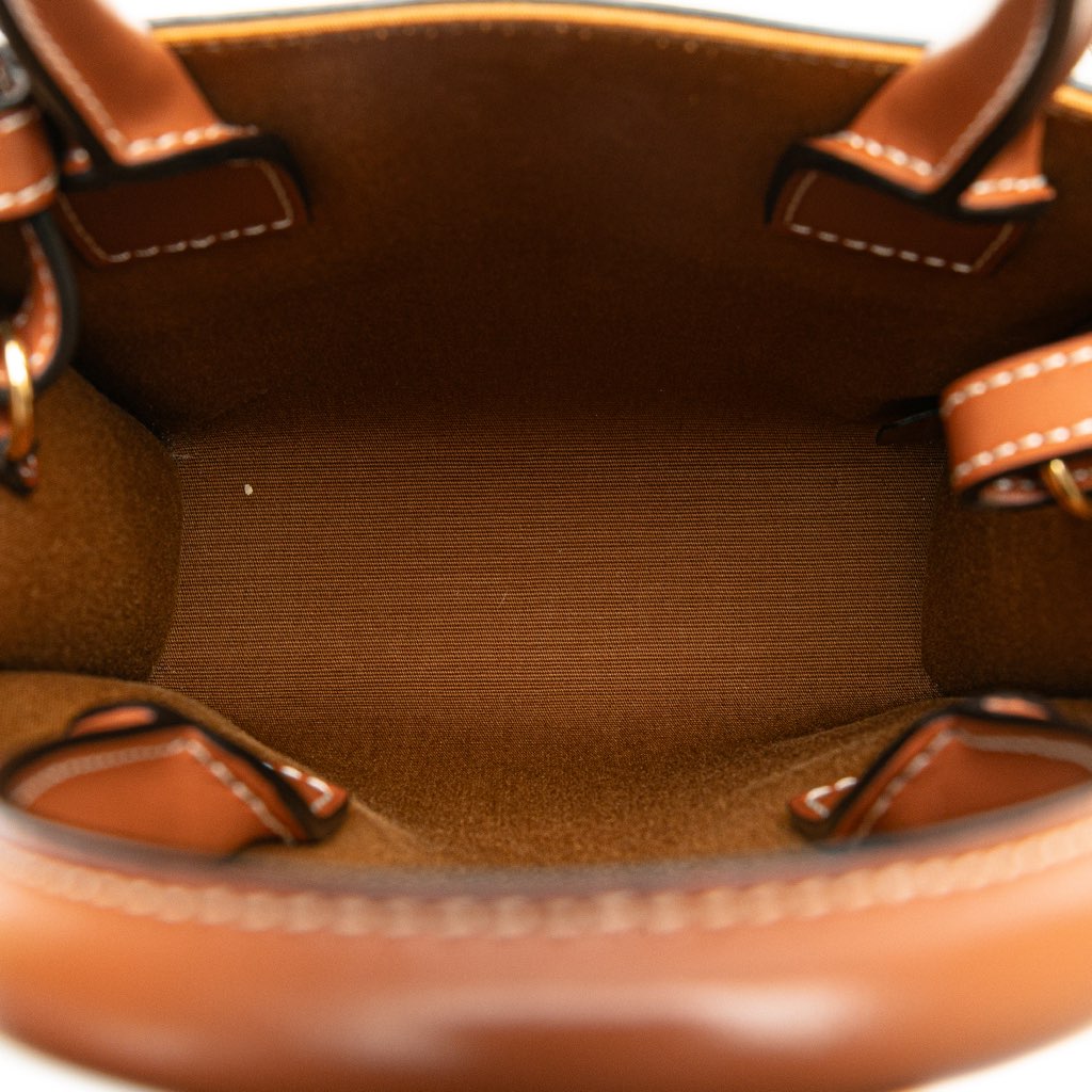 Celine Mini Triomphe Coated Canvas Vertical Cabas Satchel - 4