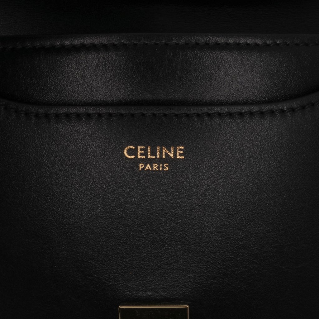 Celine Small Calfskin Besace 16 Crossbody - 5