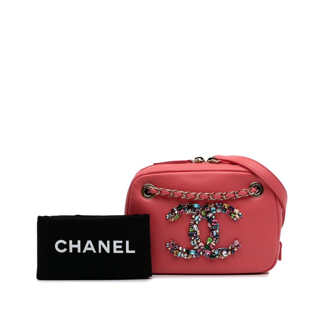 Chanel Lambskin Giant Crystal CC Camera Bag - Image 12