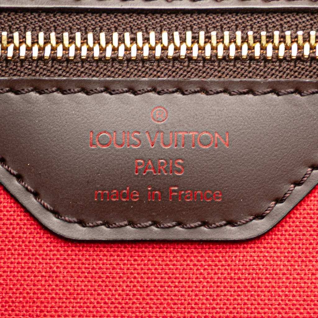 Louis Vuitton Damier Ebene Ribera GM - 5