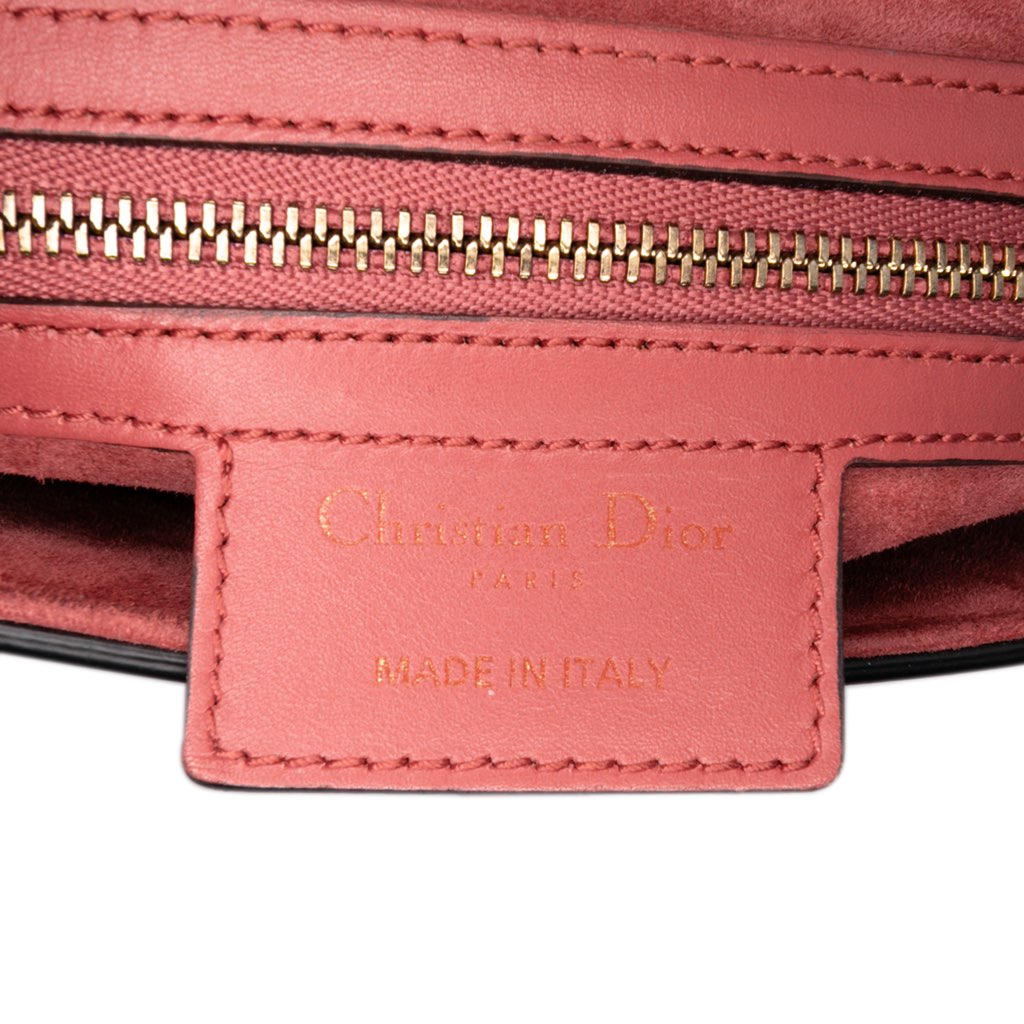 Dior Calfskin Saddle Bag - 5