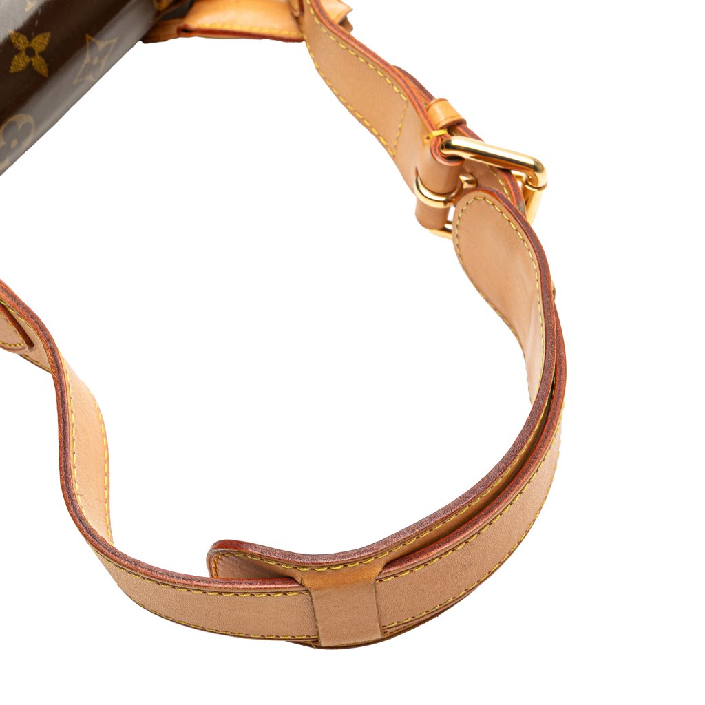 Louis Vuitton Limited Edition Monogram Vinyl Tweedy Rabat - Image 11