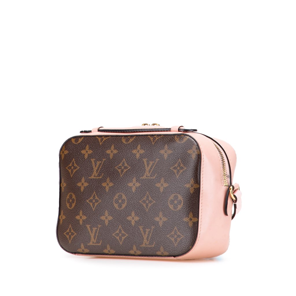 Louis Vuitton Monogram Saintonge - Back view