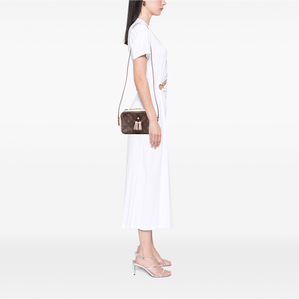 Louis Vuitton Monogram Saintonge - Image 14