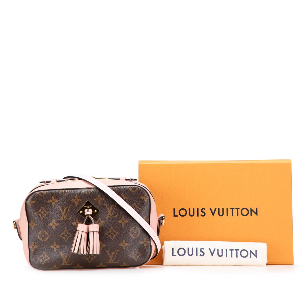 Louis Vuitton Monogram Saintonge - Image 15