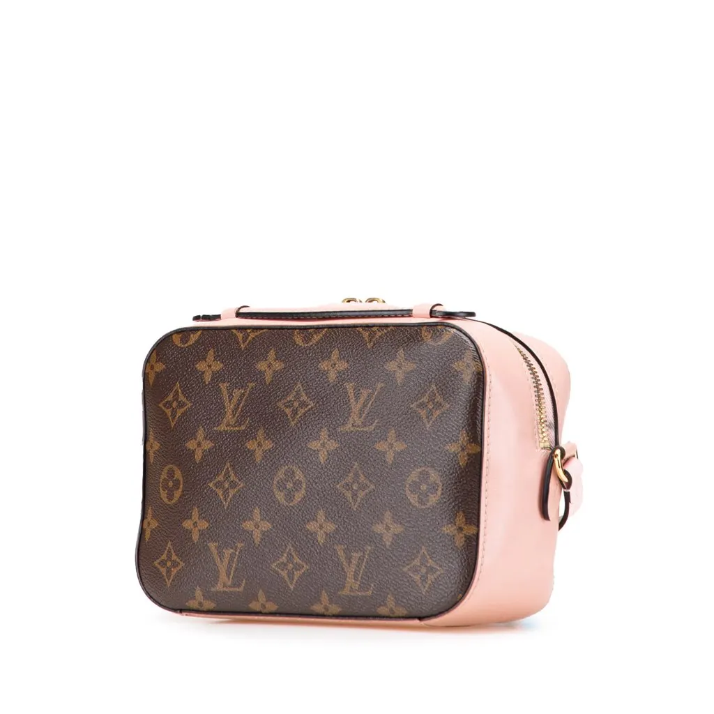 Louis Vuitton Monogram Saintonge Brown Canvas Good - Back View