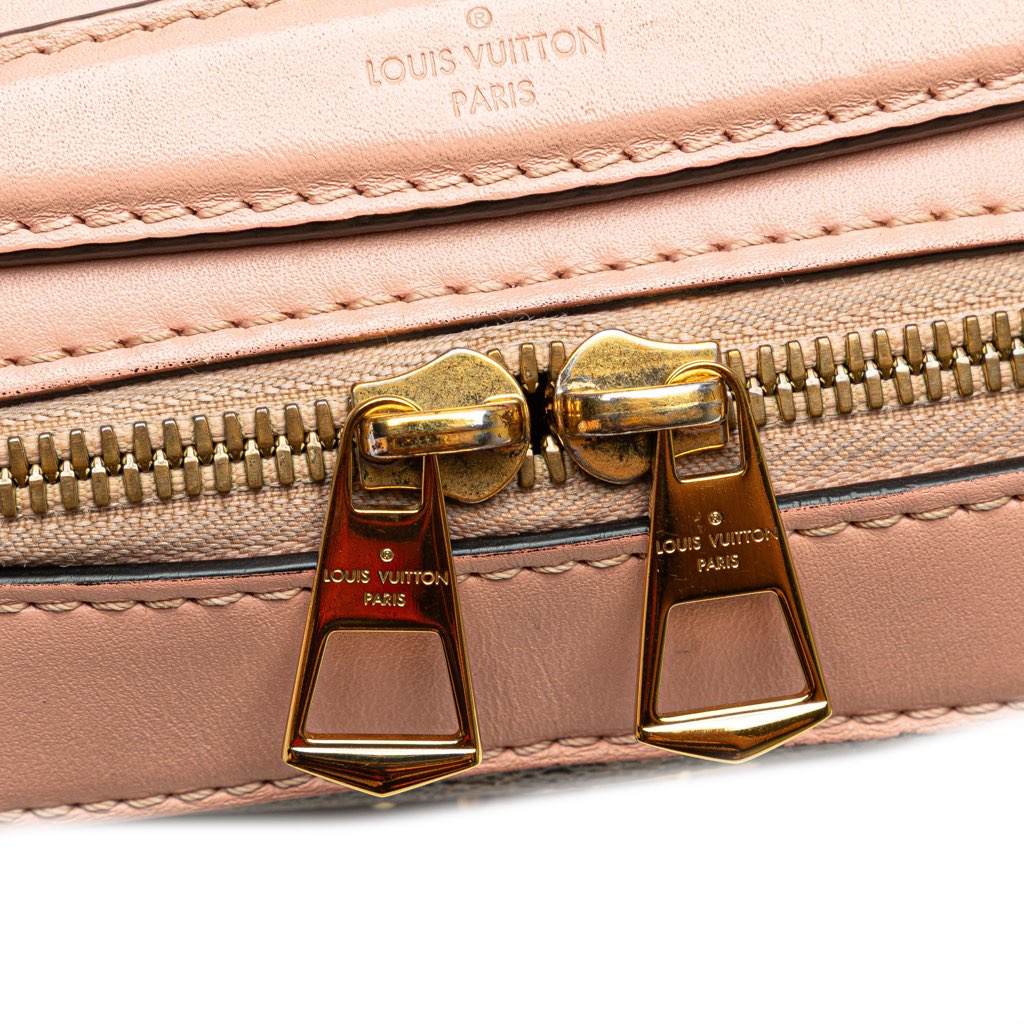 Louis Vuitton Monogram Saintonge - Detail 2