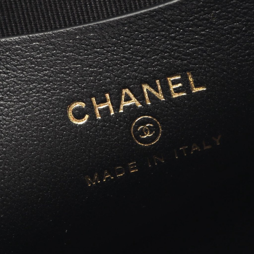 Chanel Quilted Lambskin Leo Shoulder Bag - 4