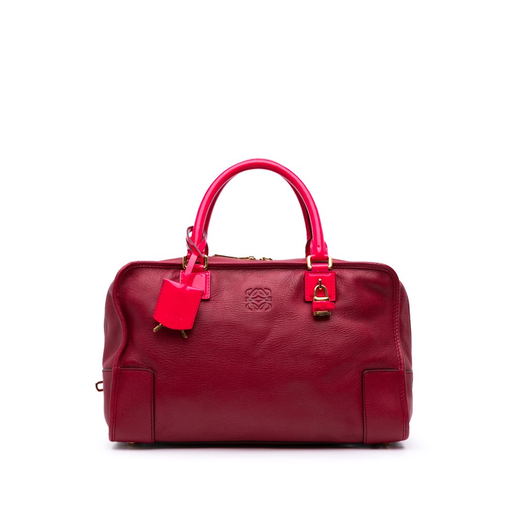 Loewe Special Edition Bicolor Leather Amazona 36