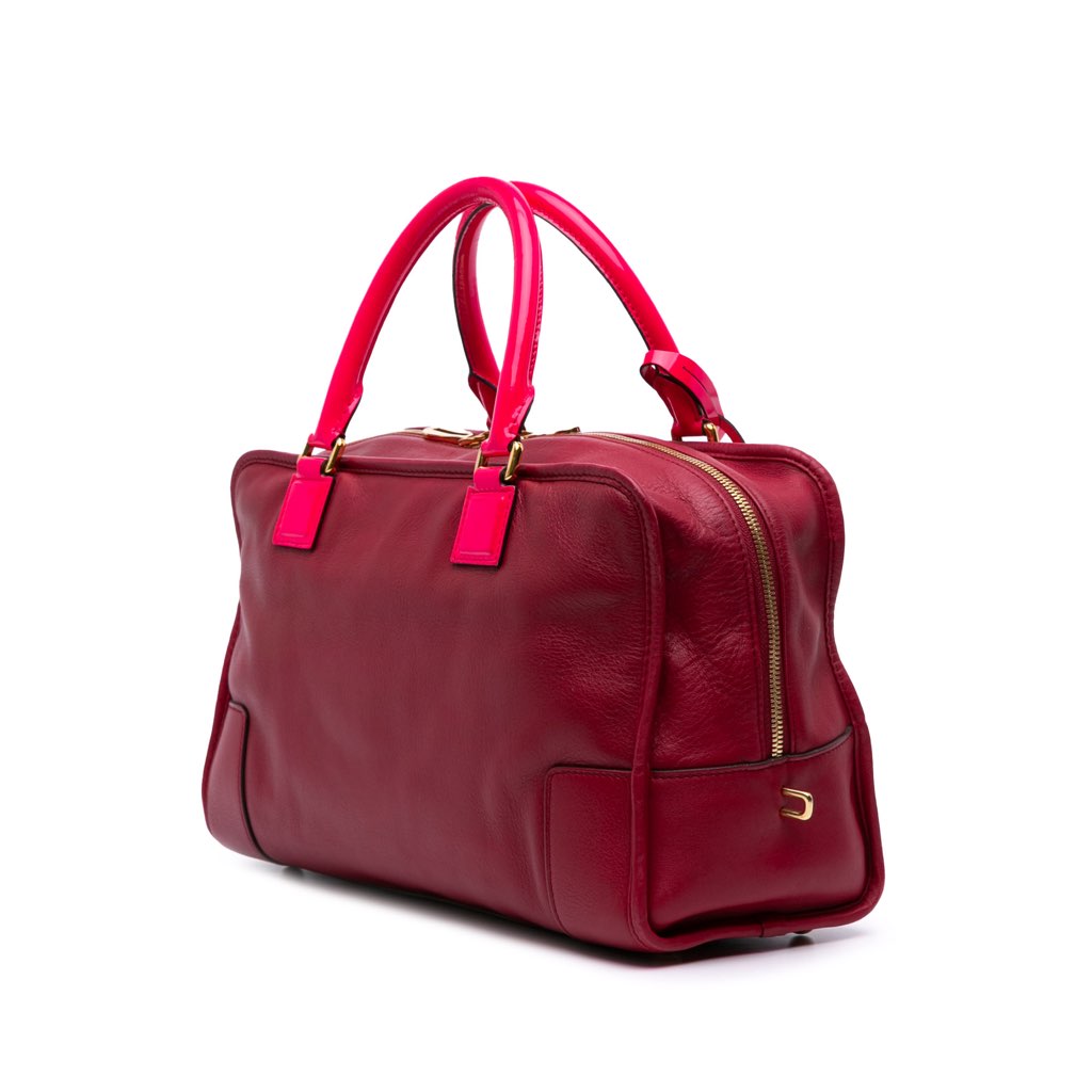 Loewe Special Edition Bicolor Leather Amazona 36 - Back view
