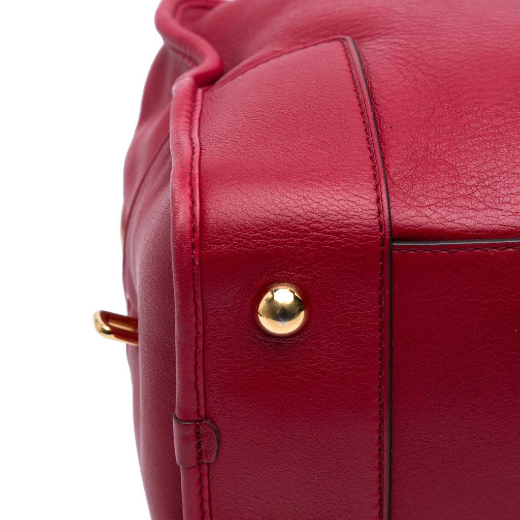 Loewe Special Edition Bicolor Leather Amazona 36 - Image 13