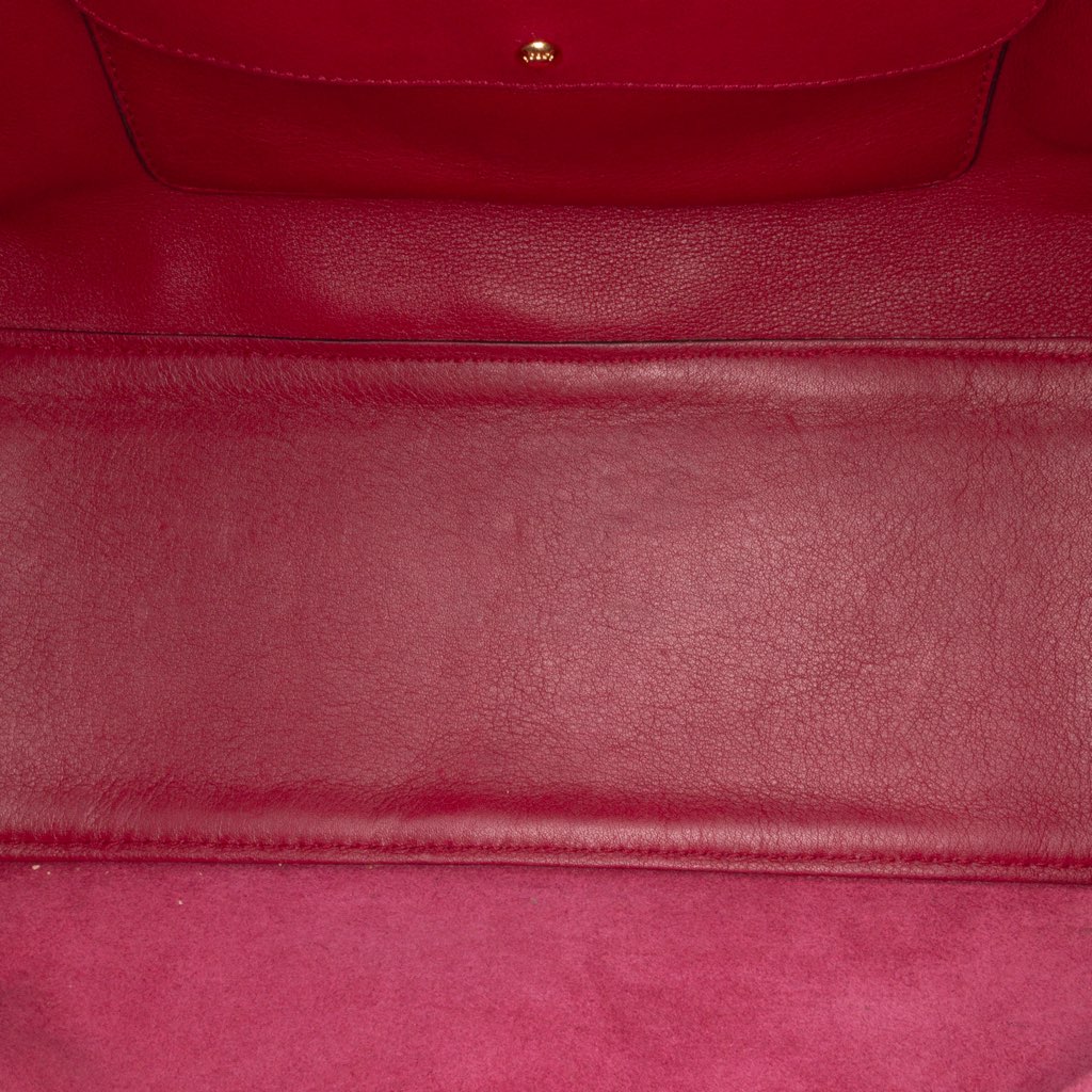 Loewe Special Edition Bicolor Leather Amazona 36 - 4