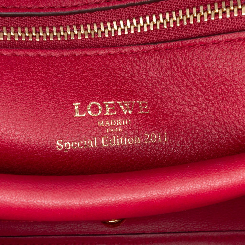 Loewe Special Edition Bicolor Leather Amazona 36 - Side view