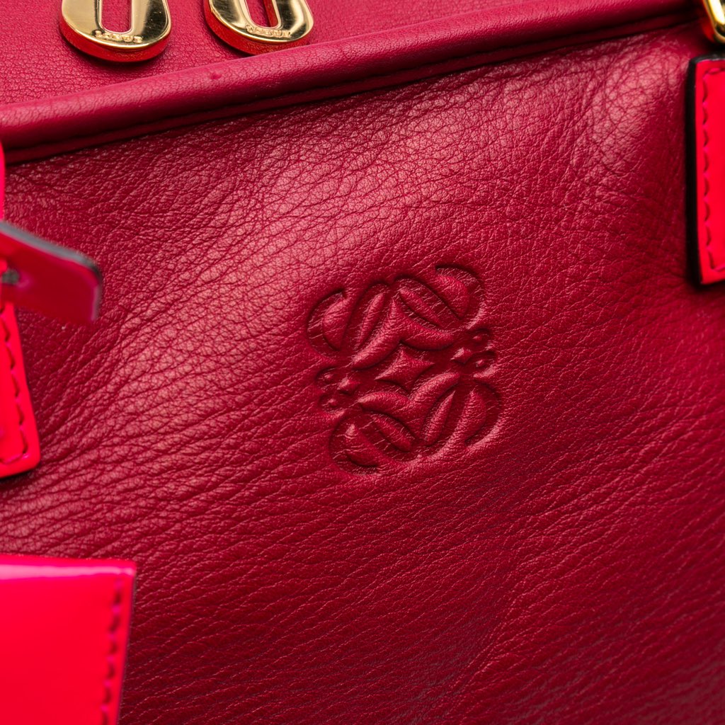 Loewe Special Edition Bicolor Leather Amazona 36 - Image 10