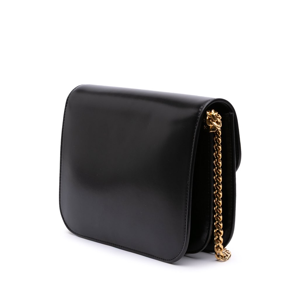 Celine Shiny Calfskin College Triomphe - 2