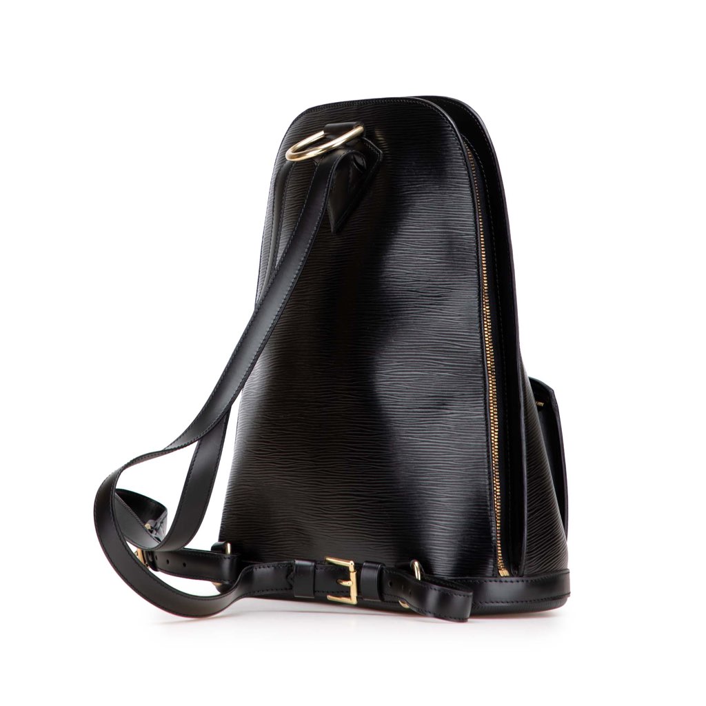 Louis Vuitton Epi Gobelins - Back view