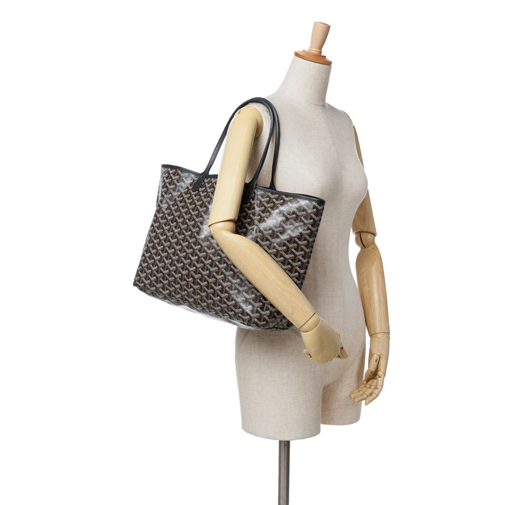 Goyard Goyardine Saint Louis PM - Image 11