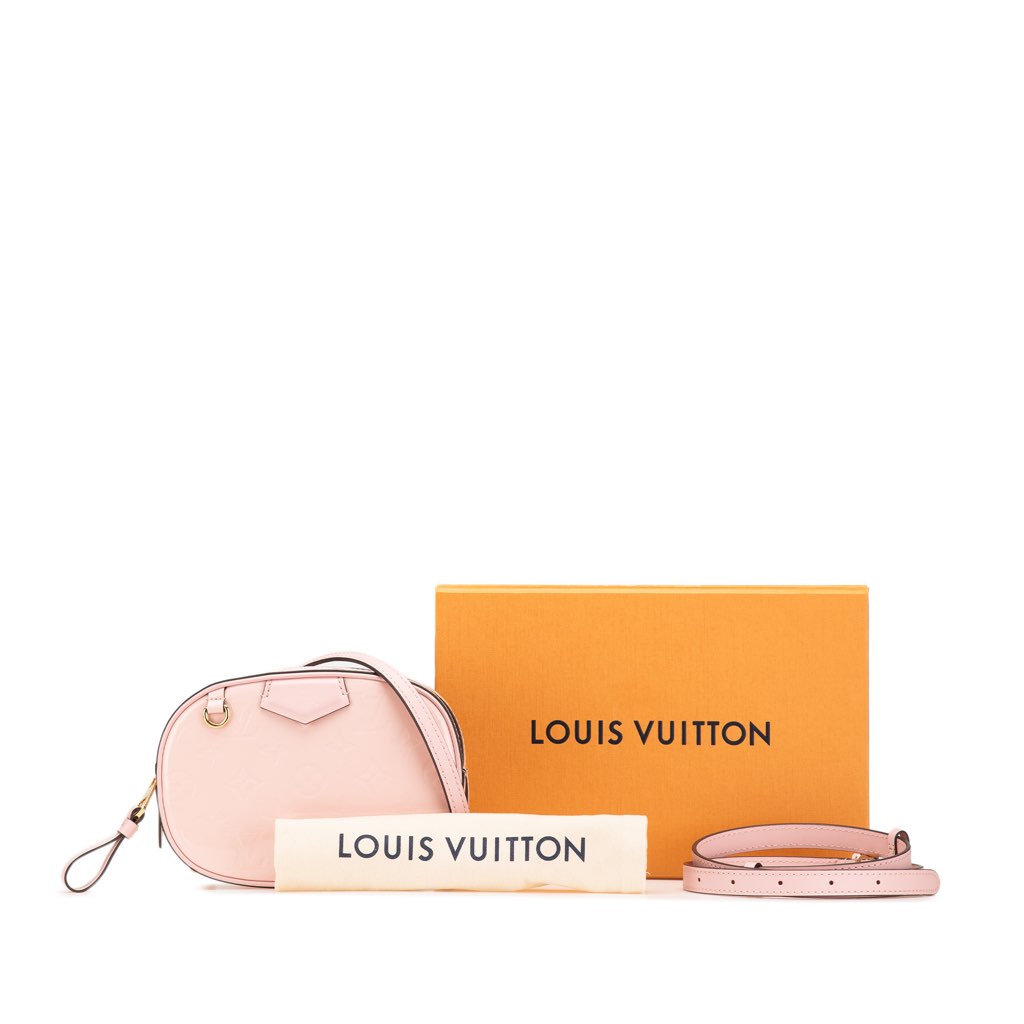 Louis Vuitton Monogram Vernis Beltbag - Image 13