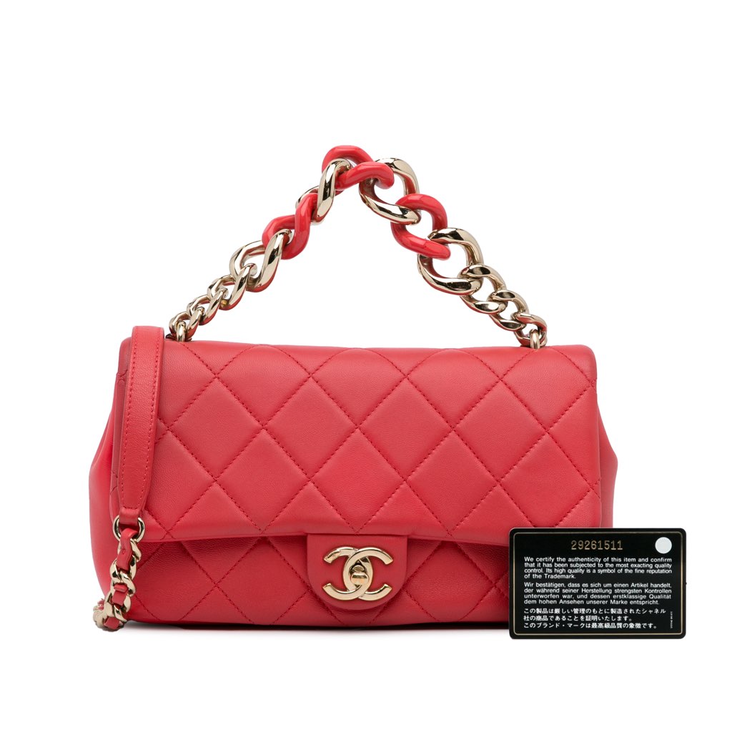Chanel Small Lambskin Elegant Chain Single Flap - Image 12