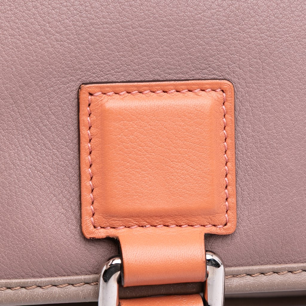 Loewe Tricolor Leather Amazona 28 - Image 11