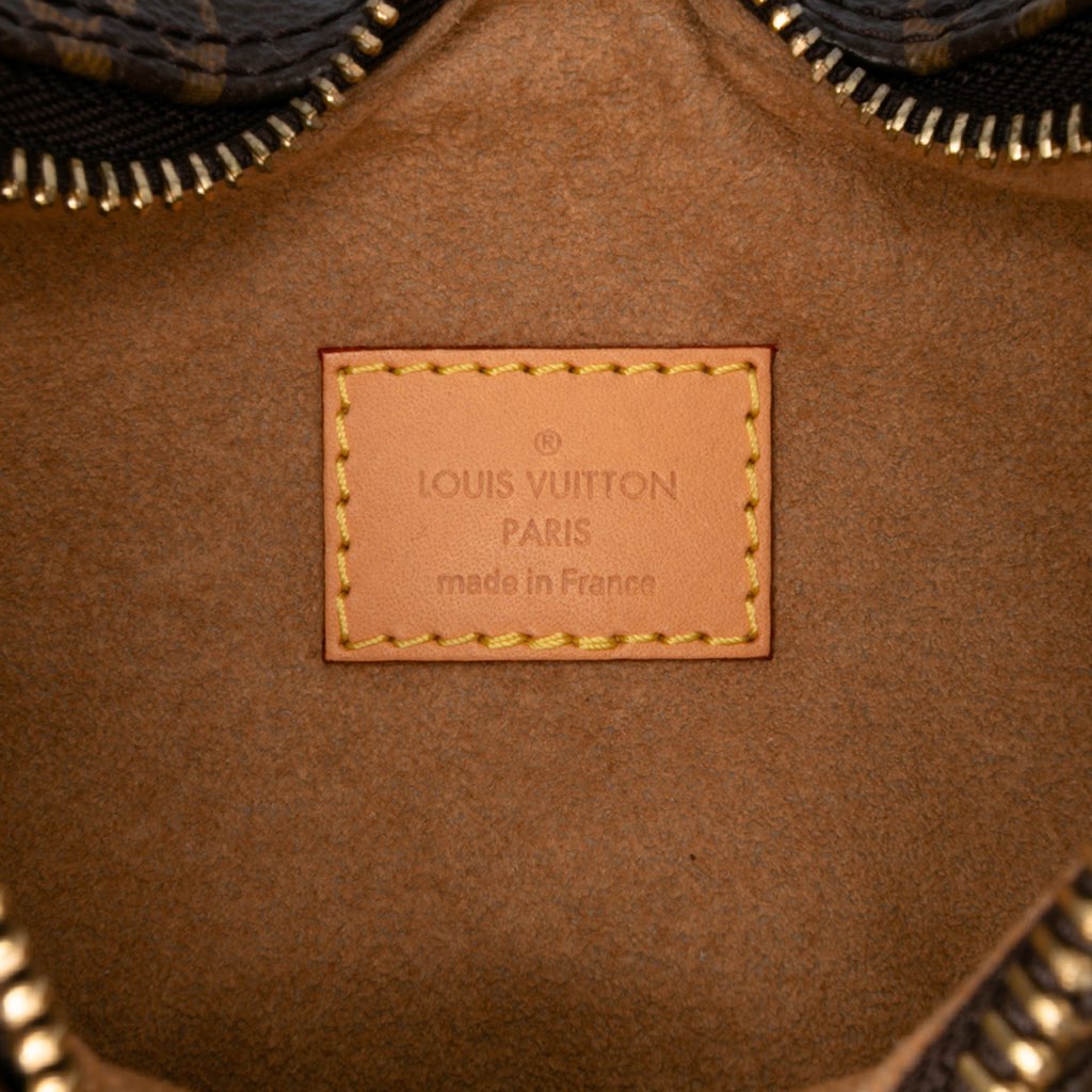 Louis Vuitton Monogram Loop - 5