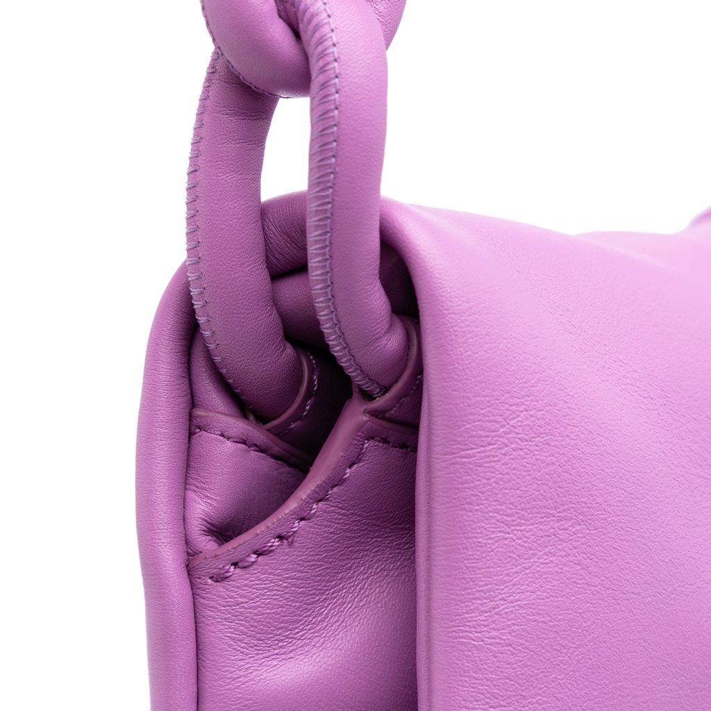 Loewe Shiny Calfskin Paseo Satchel - Image 11