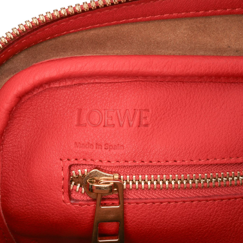 Loewe Anagram Embossed Leather Amazona 75 - 5