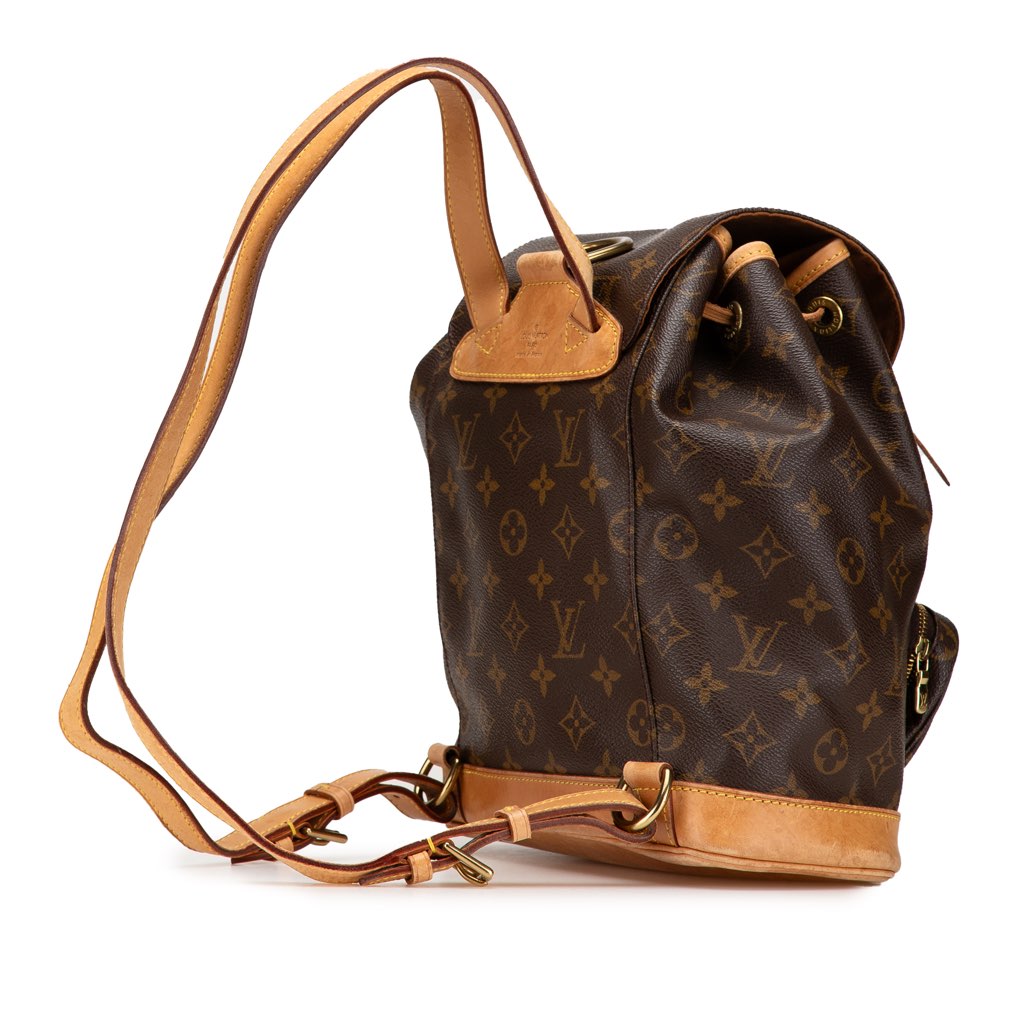 Louis Vuitton Monogram Montsouris MM - Back view