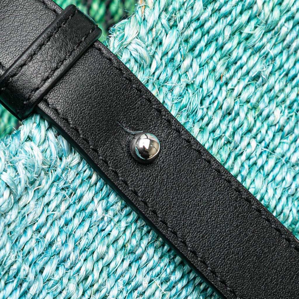 Loewe Paula's Ibiza Lizard Embroidered Raffia Tote - 5