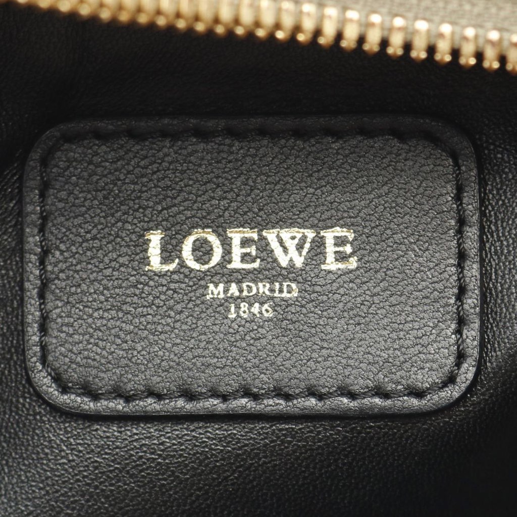 Loewe Metallic Leather Amazona 28 - 4