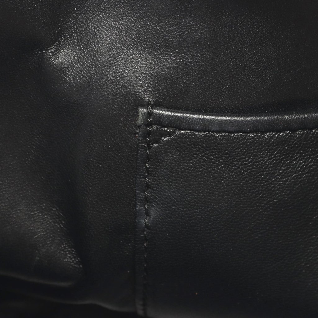 Loewe Metallic Leather Amazona 28 - 5