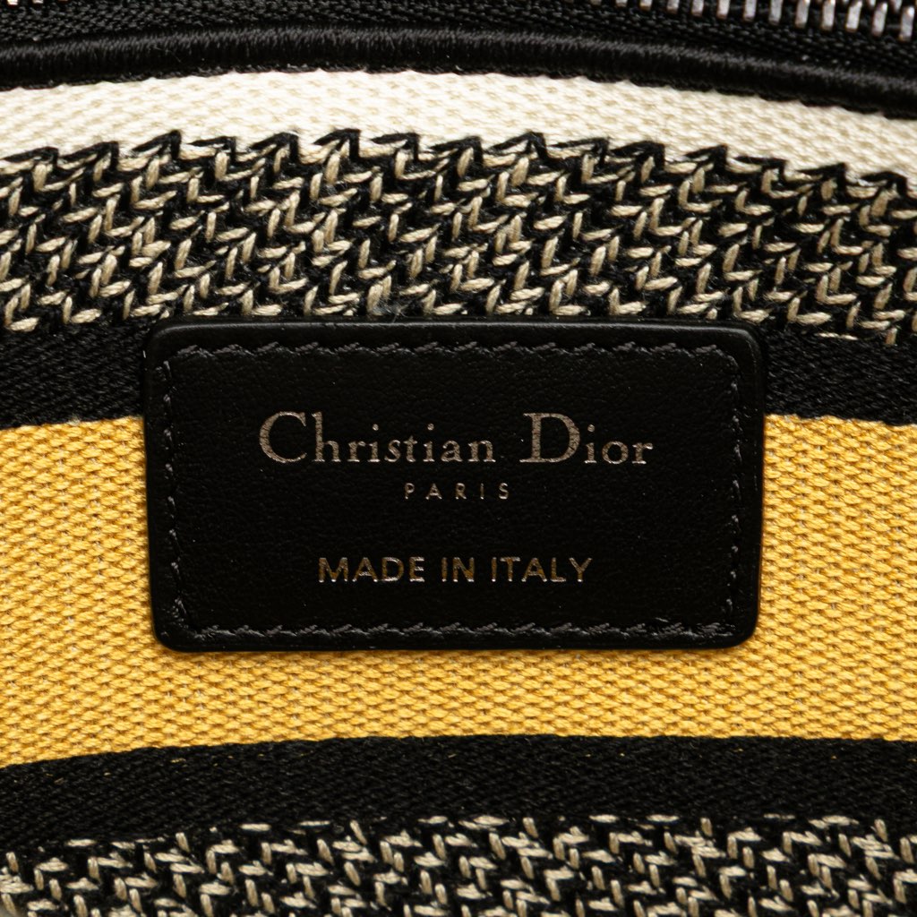 Dior Medium Embroidered Canvas Pixel Zodiac Lady D Lite - 5