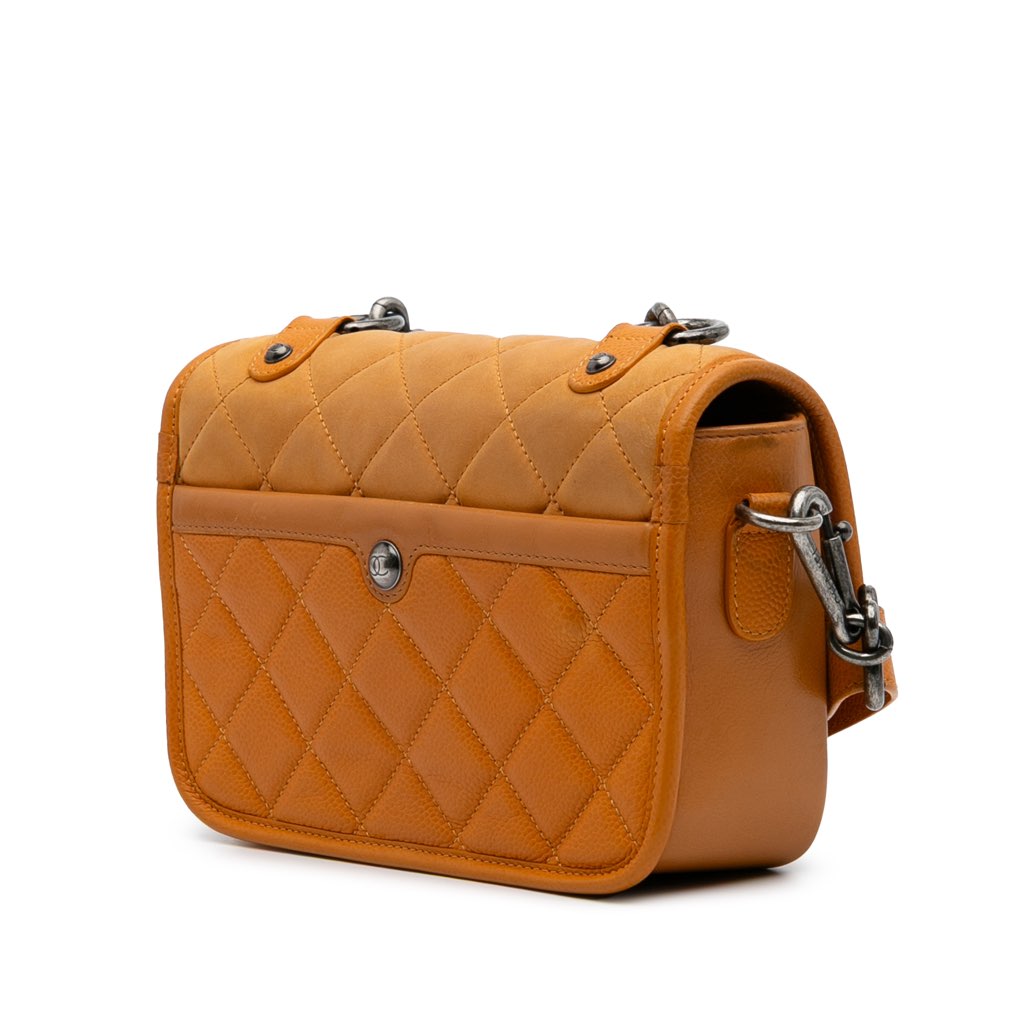 Chanel Small Quilted Iridescent Calfskin and Caviar Daily Carry Flap - Back view