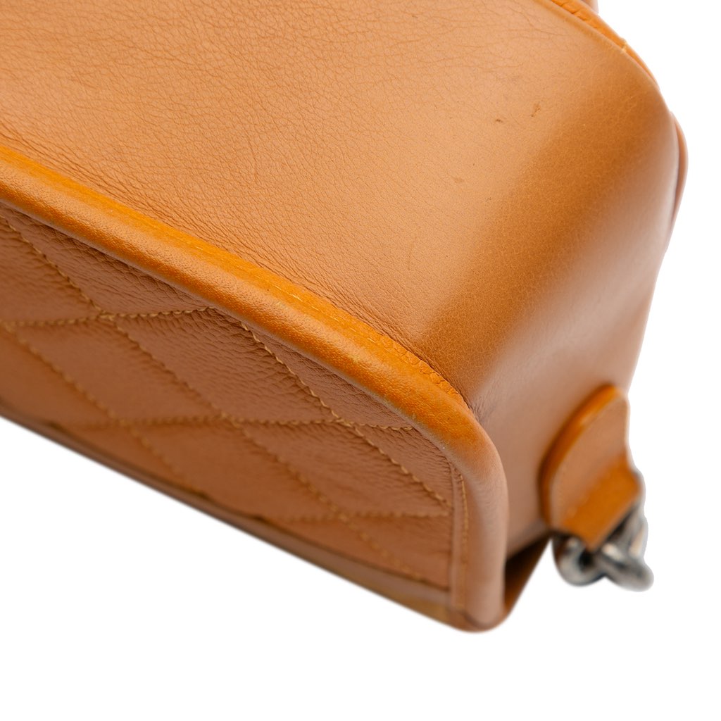 Chanel Small Quilted Iridescent Calfskin and Caviar Daily Carry Flap - Detail 2