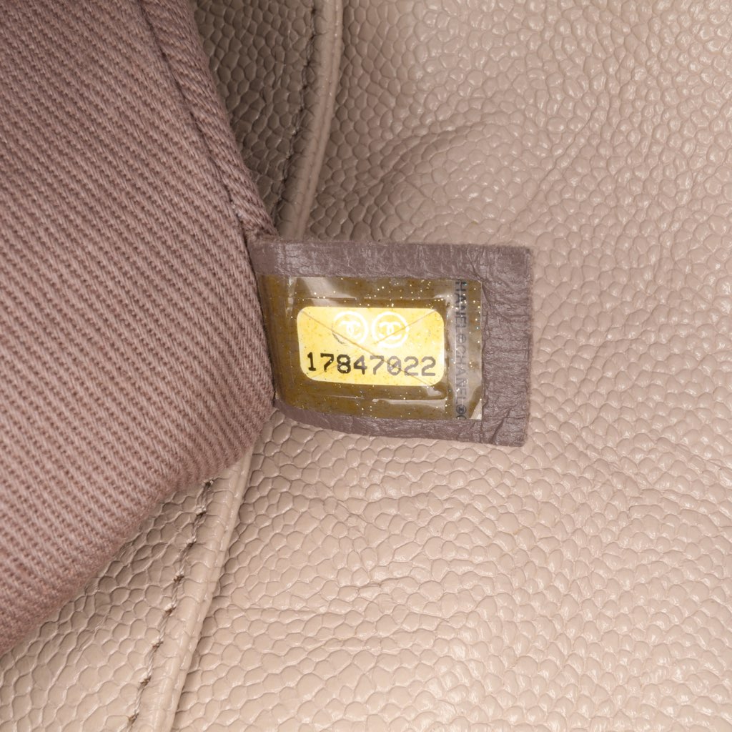 Chanel Medium Quilted Caviar Coco Pleats Messenger Flap - Side view