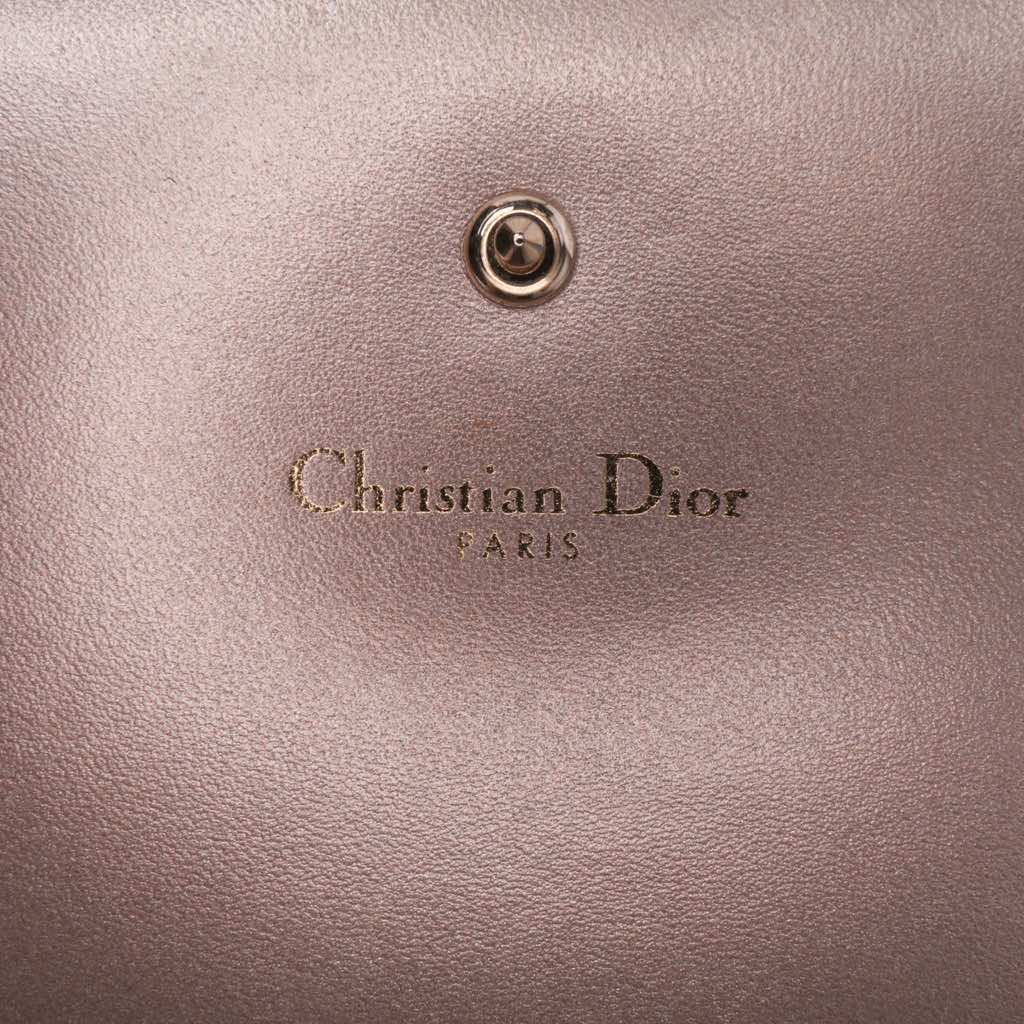 Dior Metallic Grained Calfskin Diorama Wallet on Chain - 5
