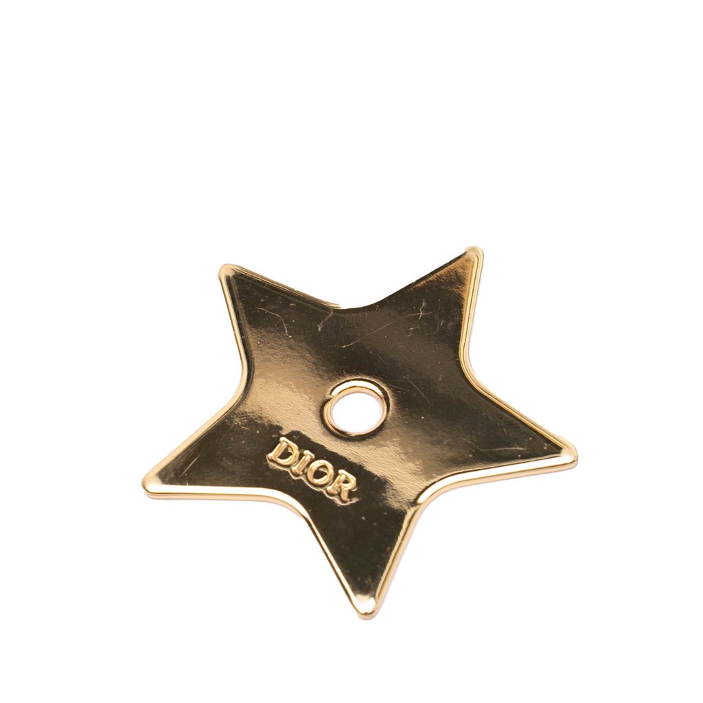 Dior Wang Guangle Medium PVC Technical Fabric Lady Dior - Image 14