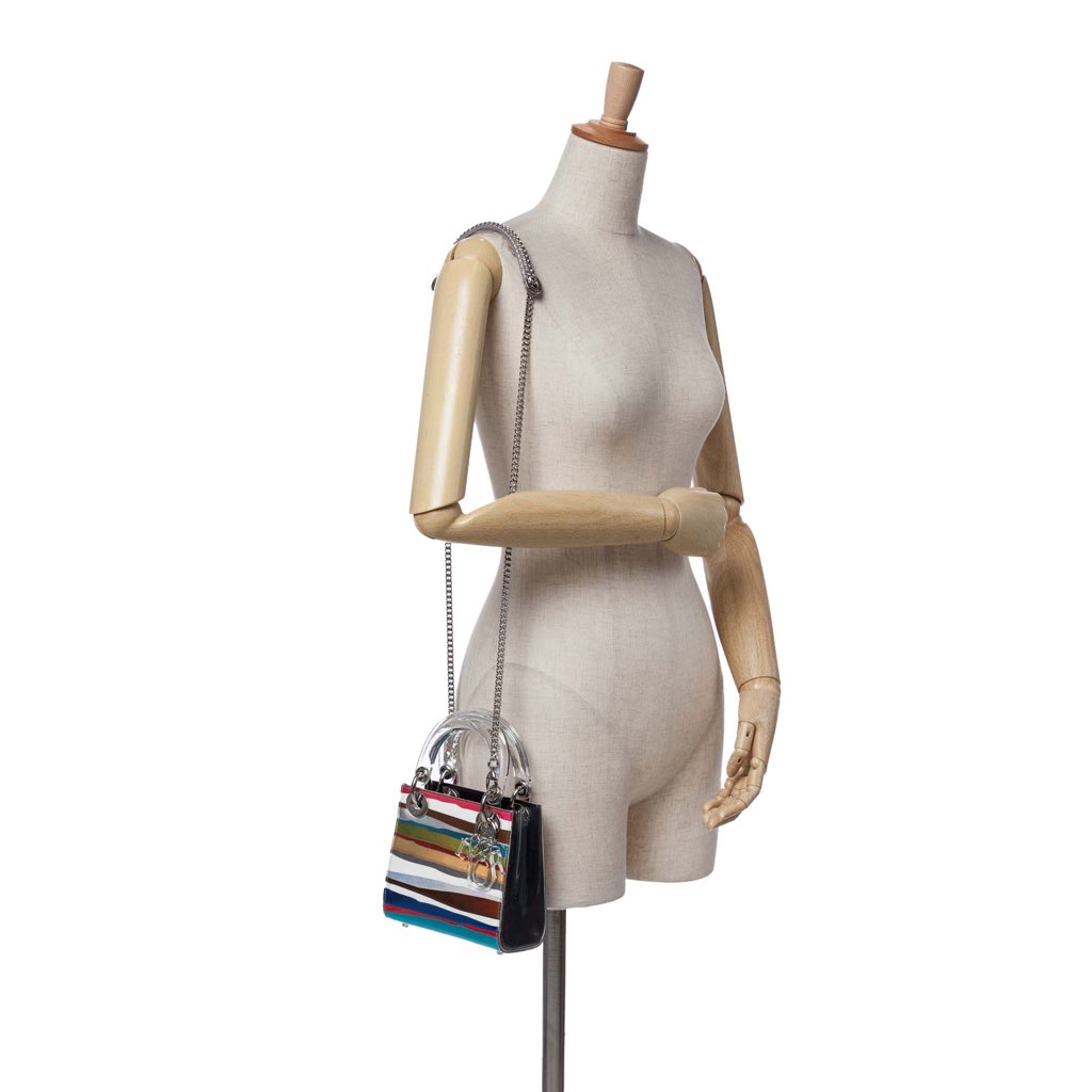 Dior Wang Guangle Medium PVC Technical Fabric Lady Dior - Image 15