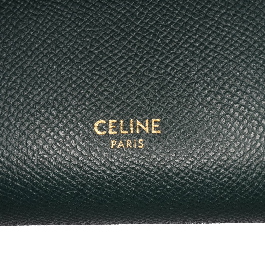 Celine Pico Grained Calfskin Belt Bag - 5