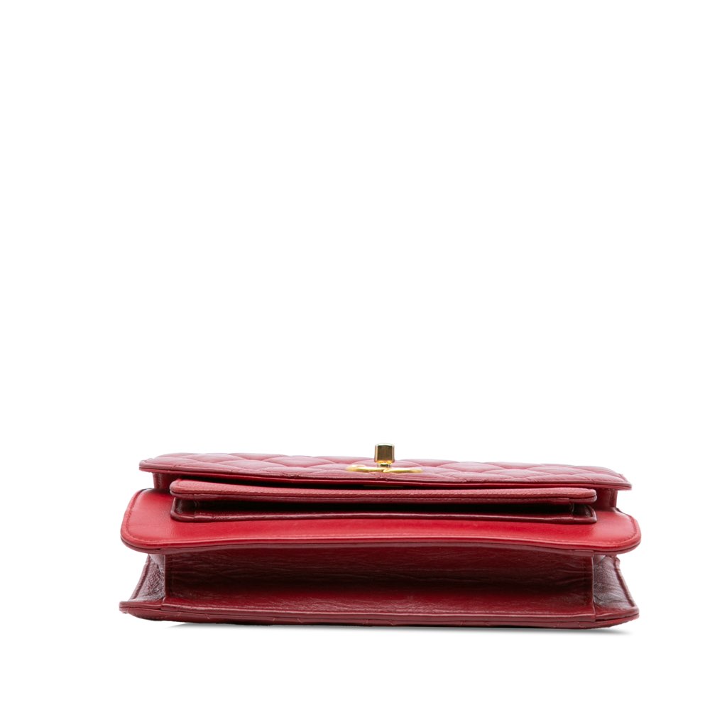 Chanel Small Quilted Calfskin and Caviar Chain Handle Flap - Image 6