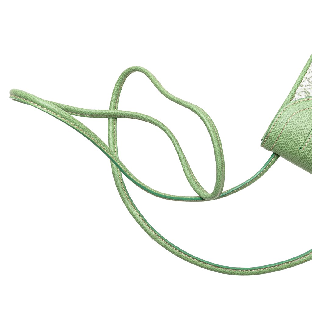 Loewe Anagram Canvas Crossbody - Image 14