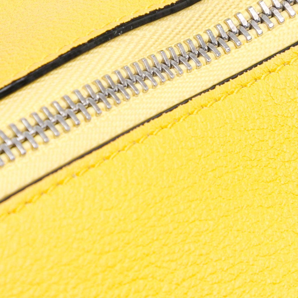 Loewe Mini Calfskin Elephant Crossbody - 5